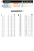 HEPYC 1166 catalog specifications